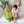 Lazycactus Oversized doll 150cm